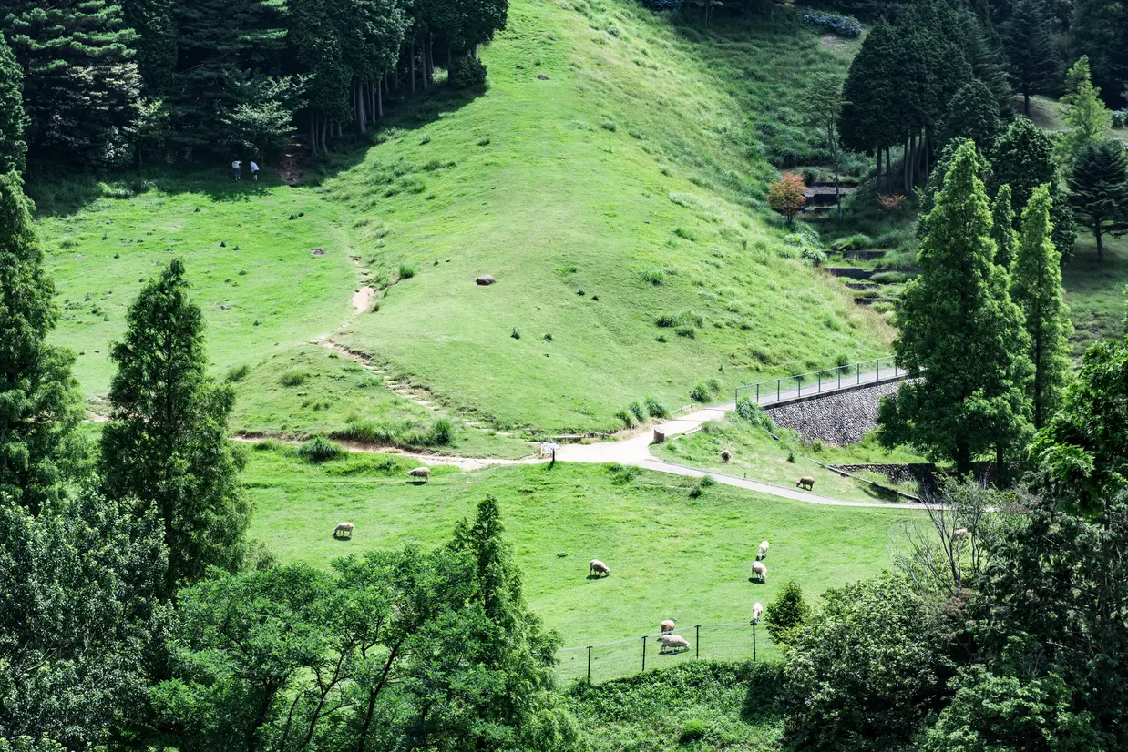 神戸市立六甲山牧場