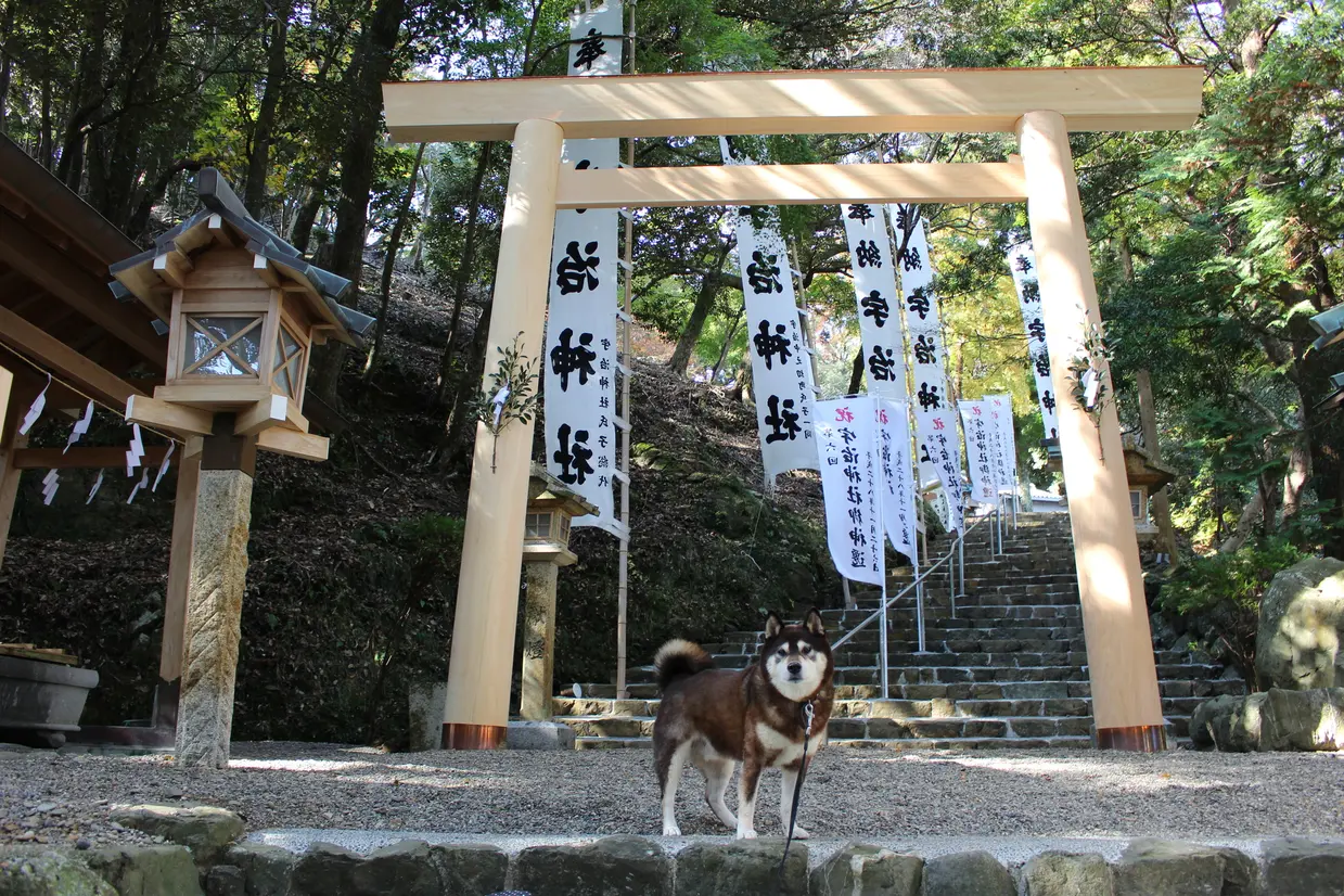 宇治神社