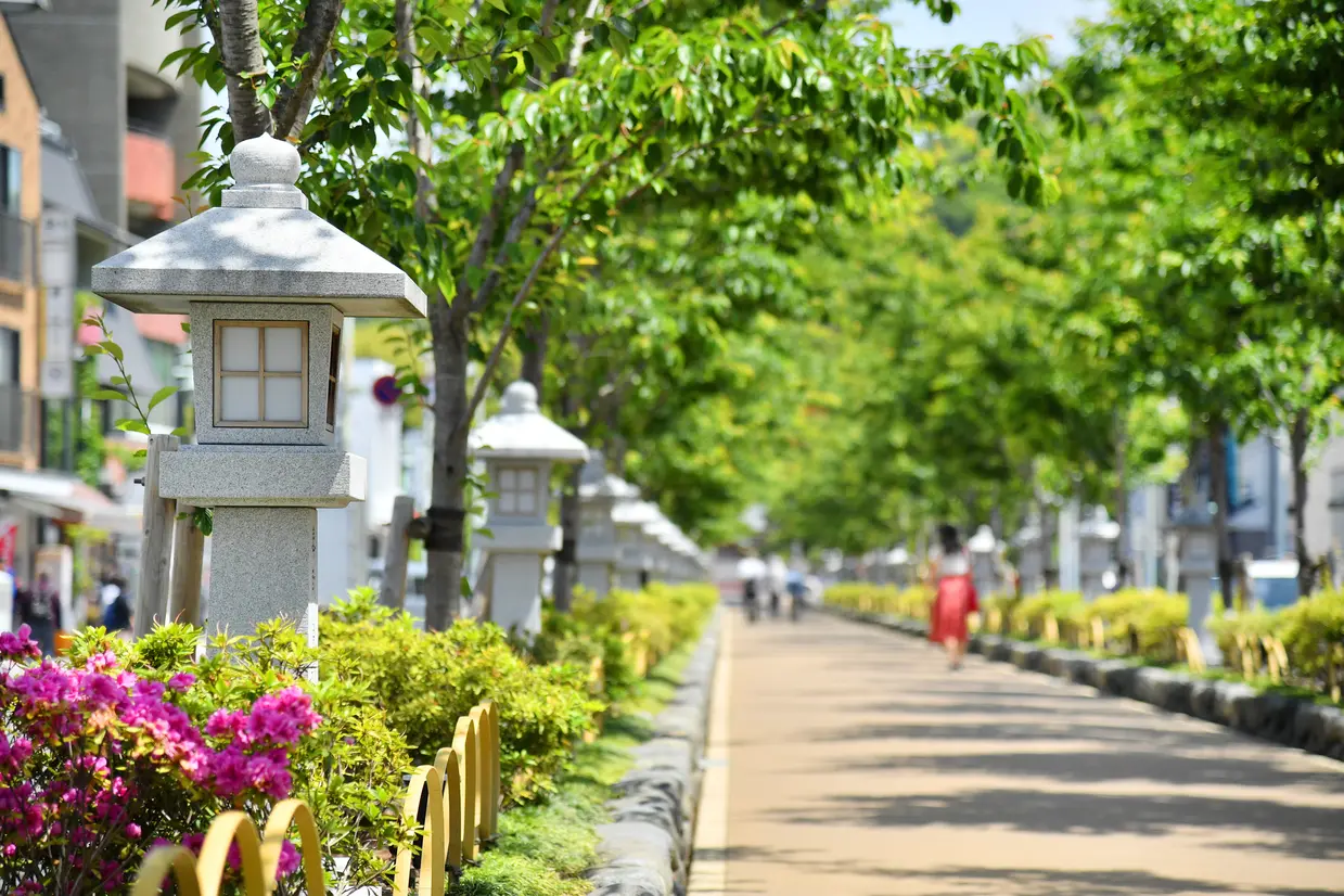 若宮大路