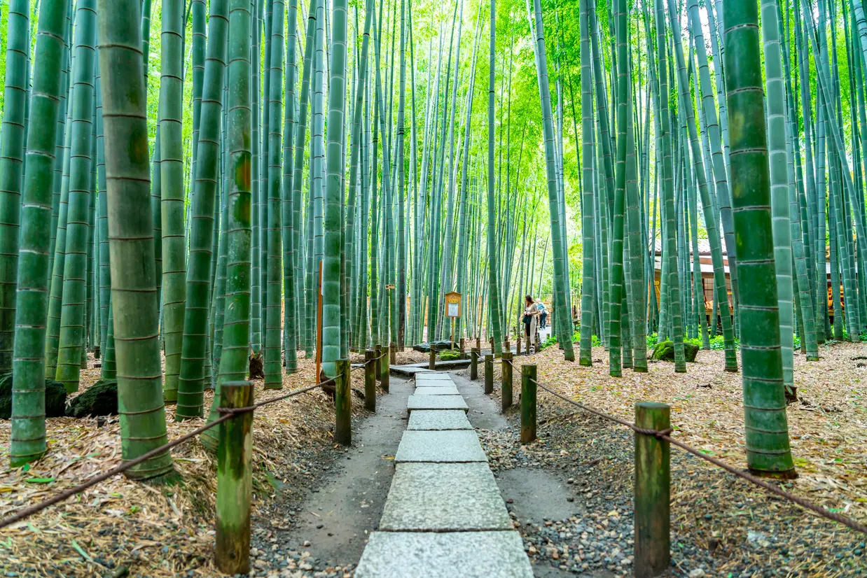 報国寺