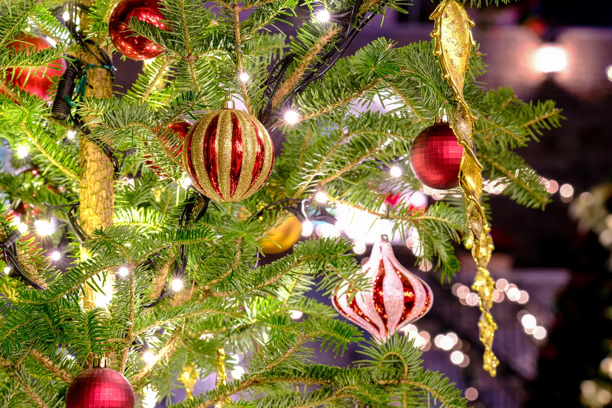 クリスマスツリー