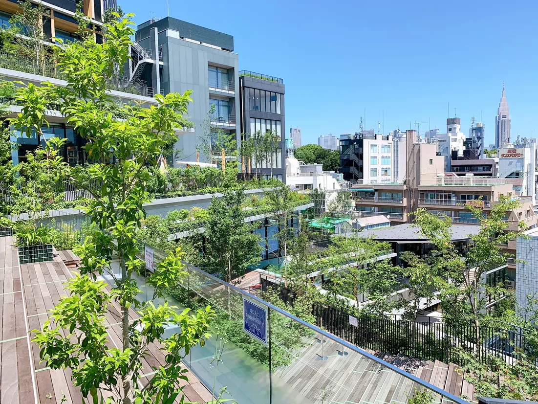 WITH HARAJUKU PARK