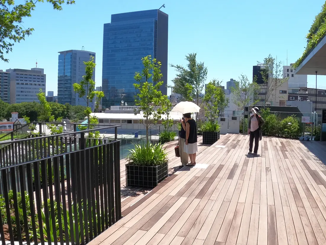 WITH HARAJUKU PARK