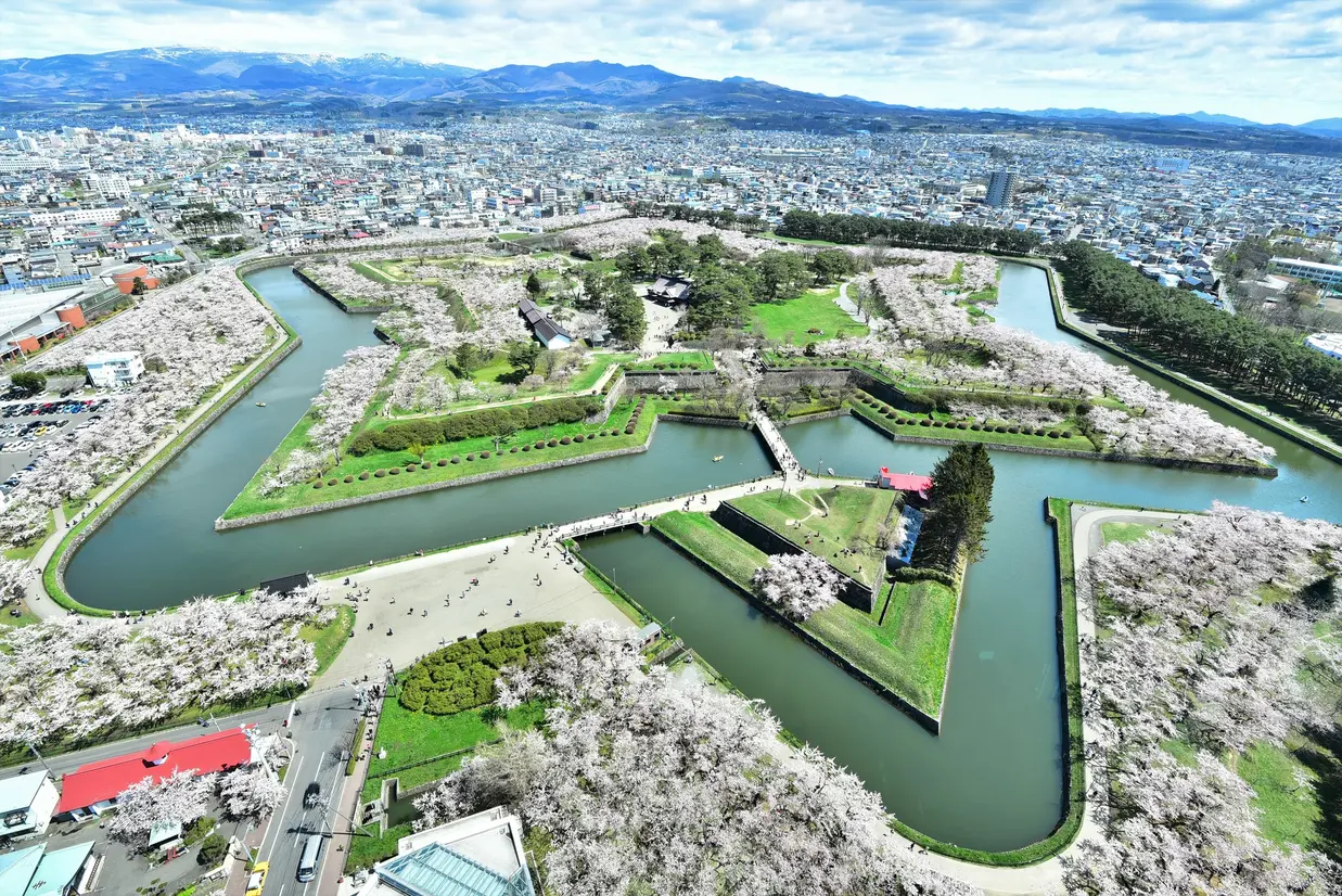 五稜郭公園（春）