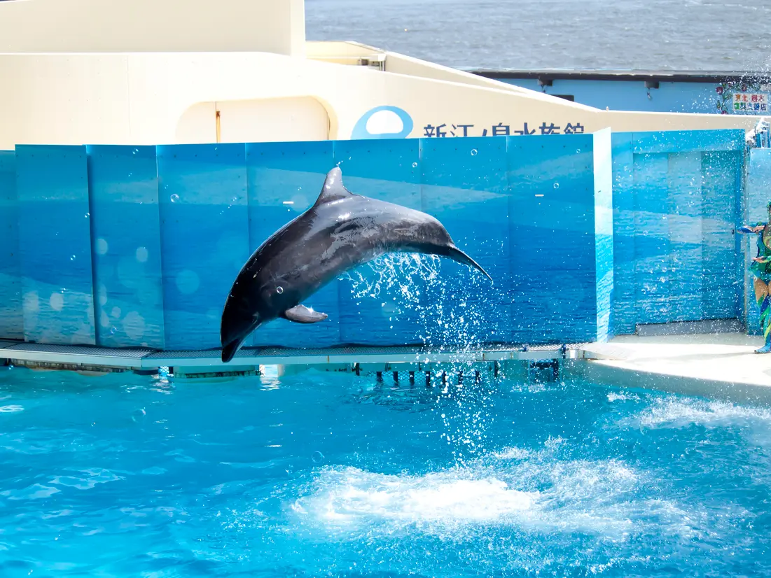 新江ノ島水族館