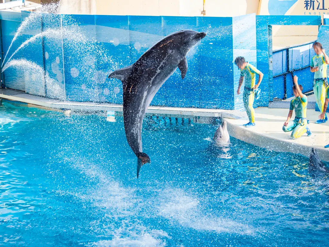 新江ノ島水族館