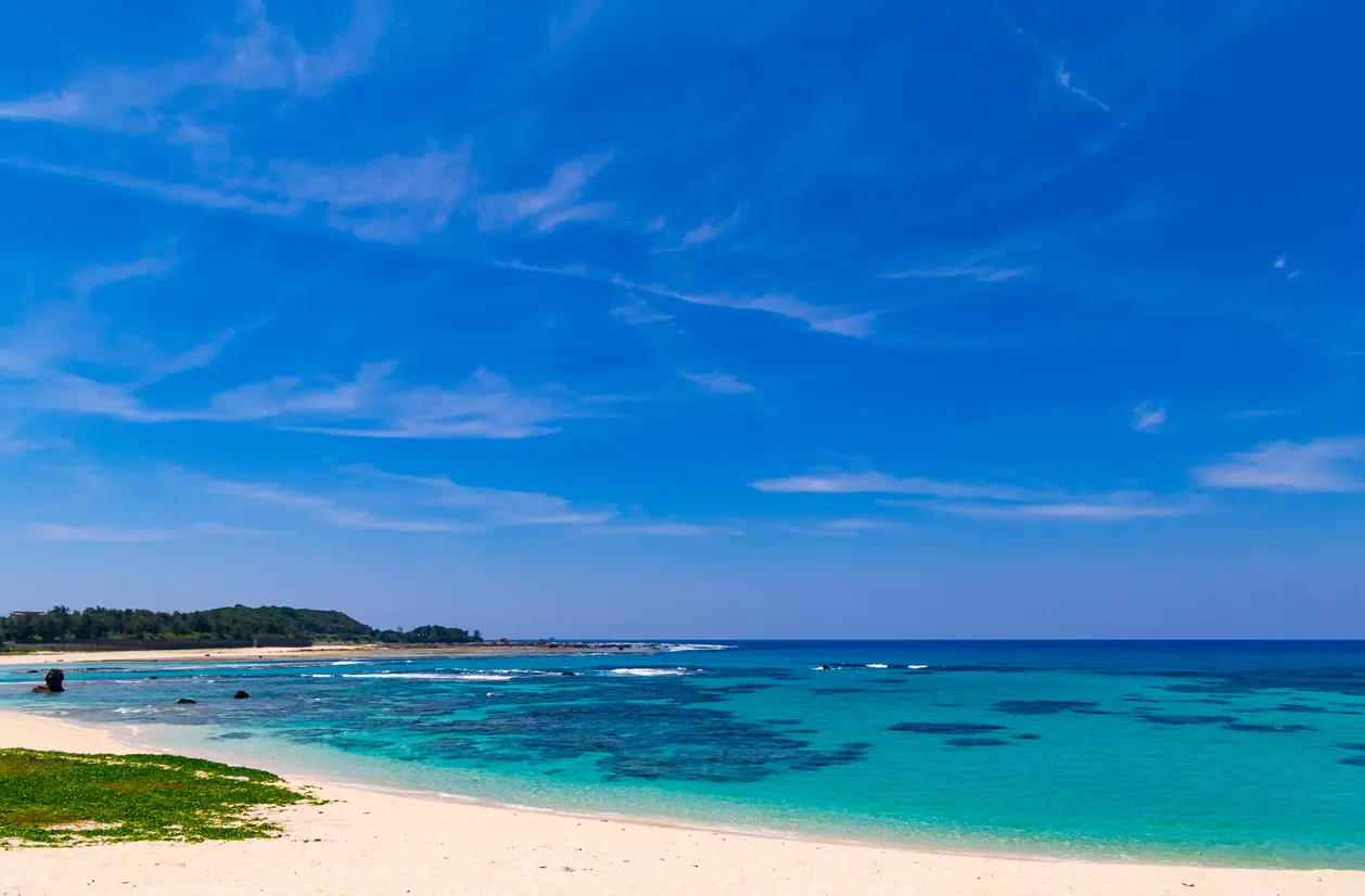 土盛海岸
