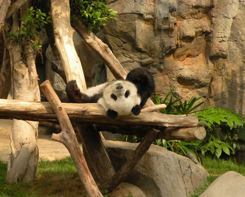 香港海洋公園