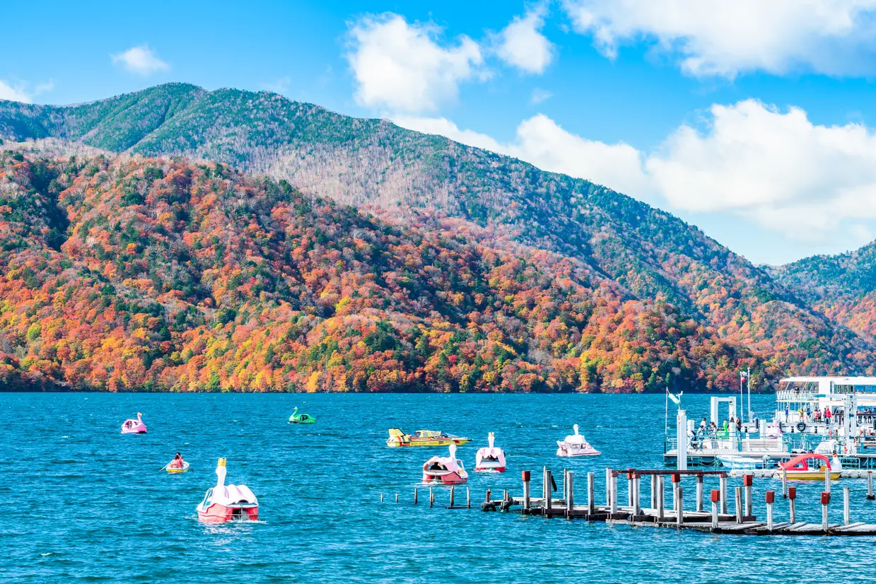 中禅寺湖スワンボートレース