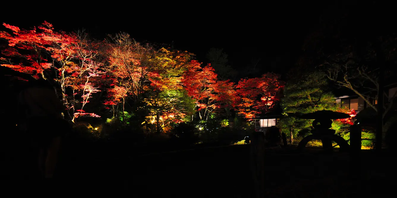 逍遥園ライトアップ