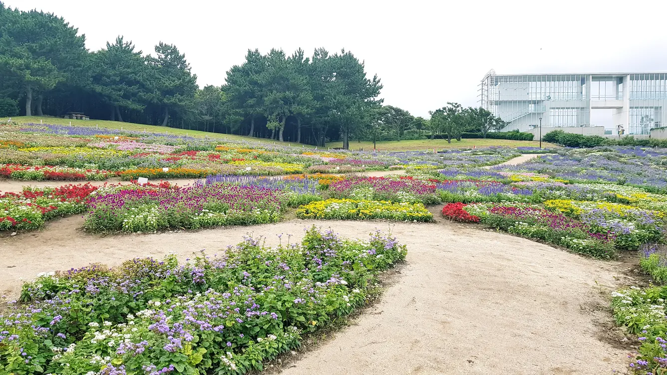 汐風の広場