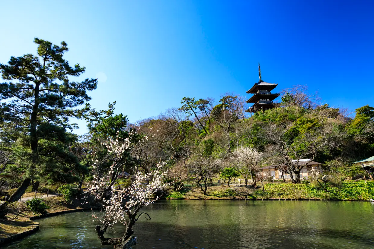 三溪園
