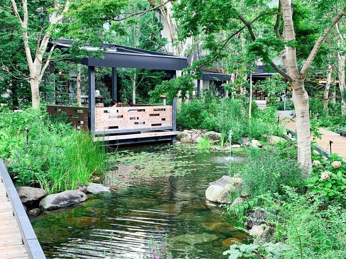 広場