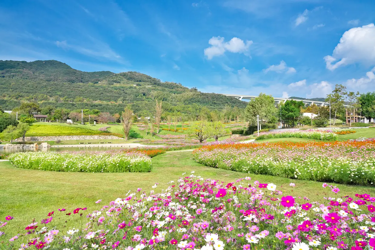 淡路島国営明石海峡公園