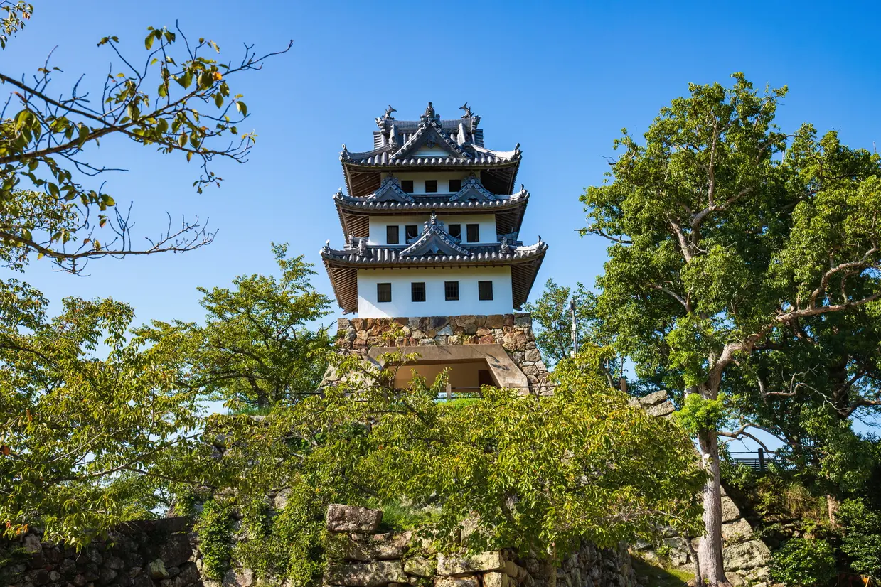 洲本城