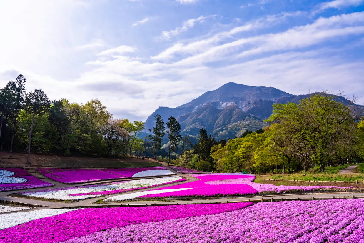 羊山公園
