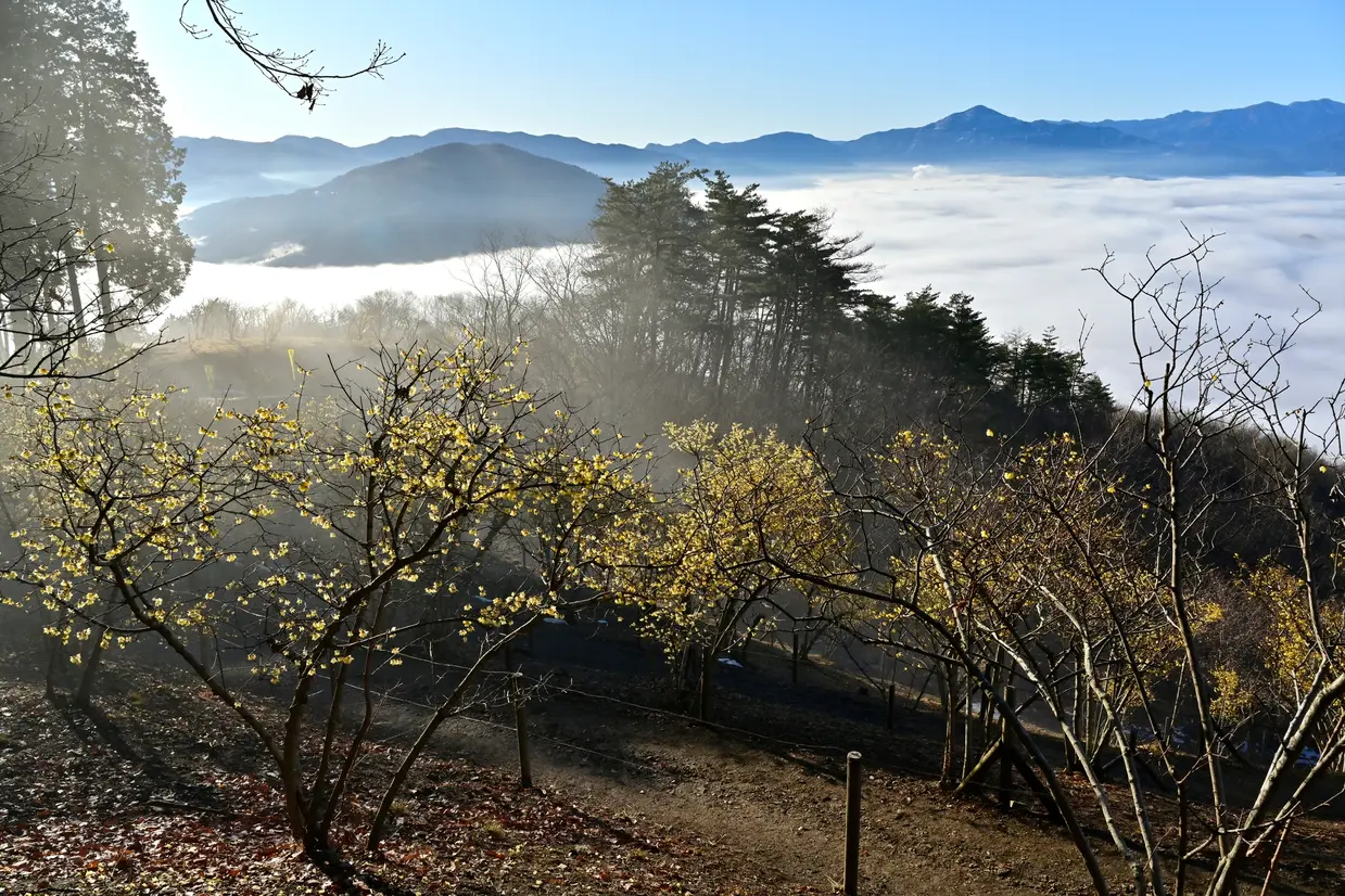 宝登山