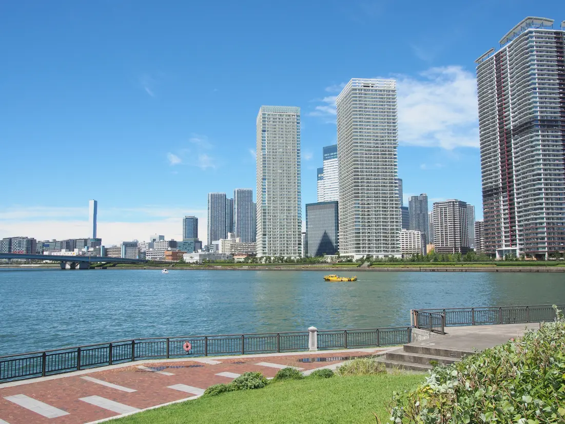 公園から豊洲のマンション群を望む
