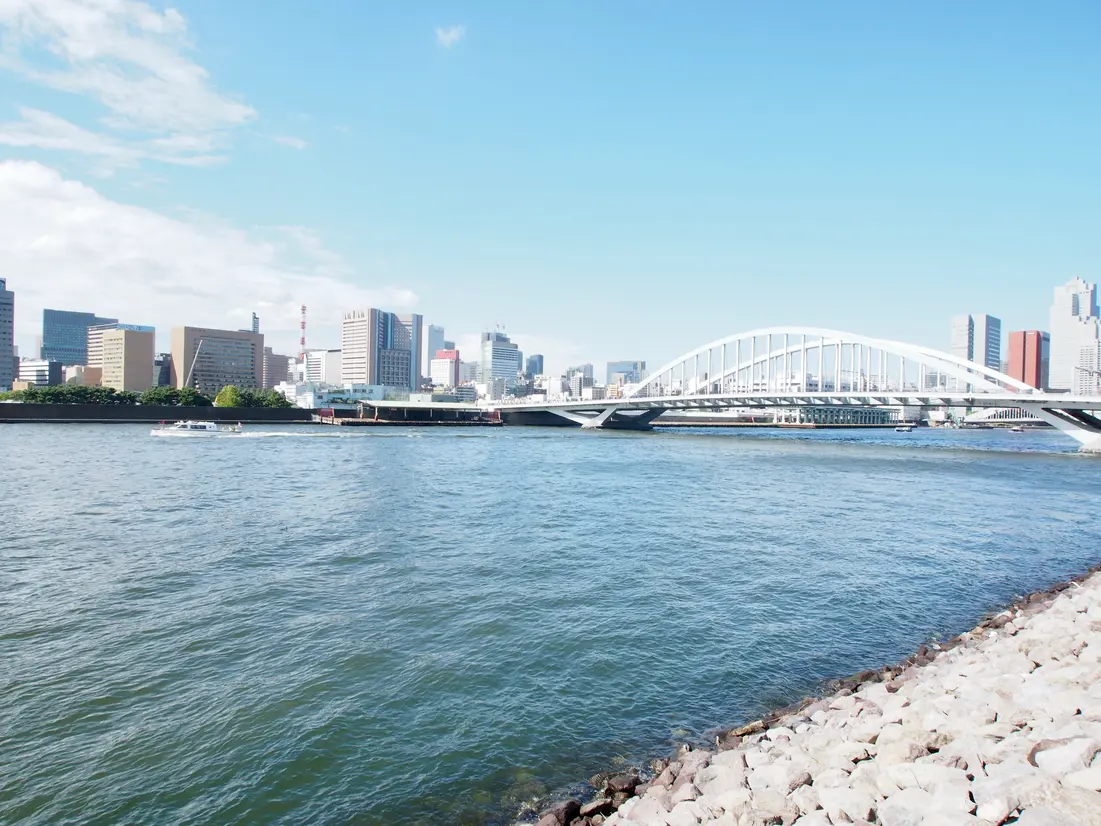 遠くに東京タワーが見える