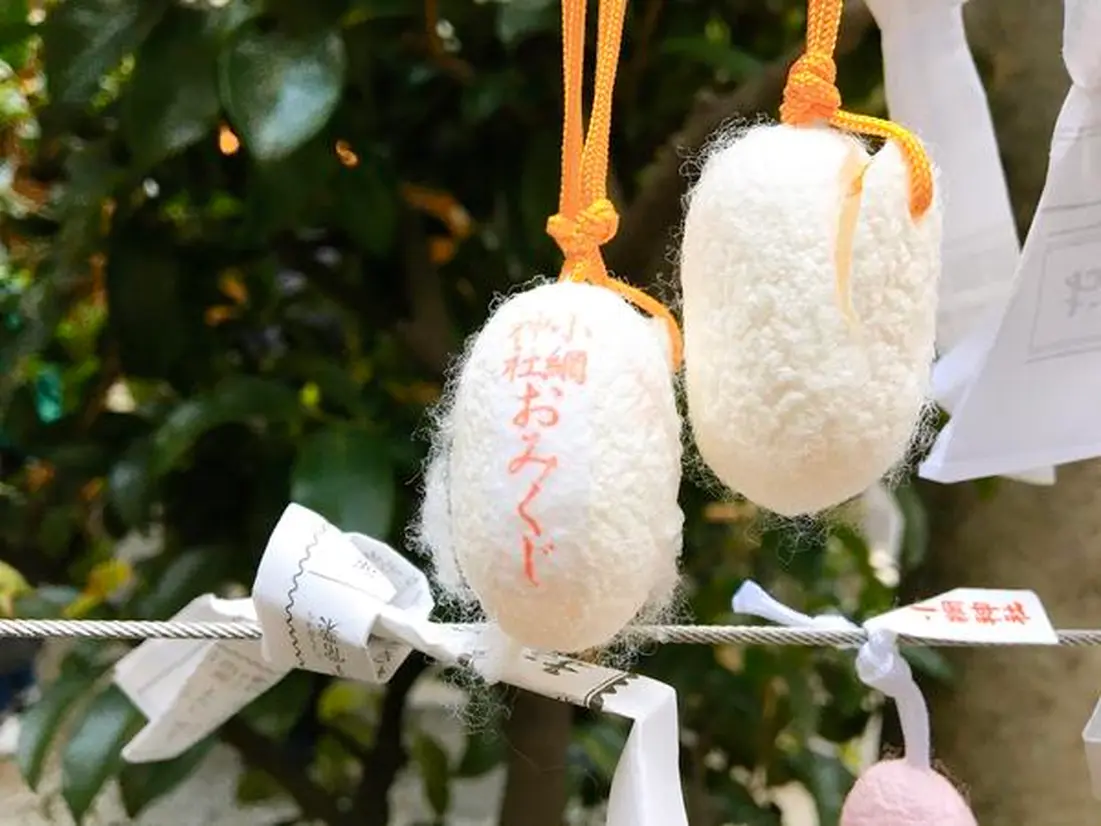 まゆ玉みくじ