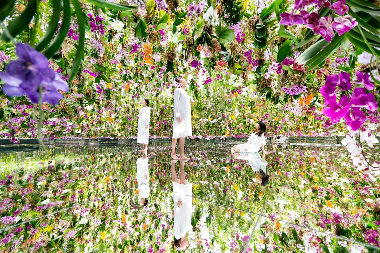 チームラボ《Floating Flower Garden: 花と我と同根、庭と我と一体》 ©チームラボ