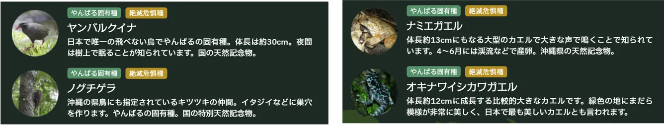 写真提供：環境省やんばる野生生物保護センター / Adobe Stock