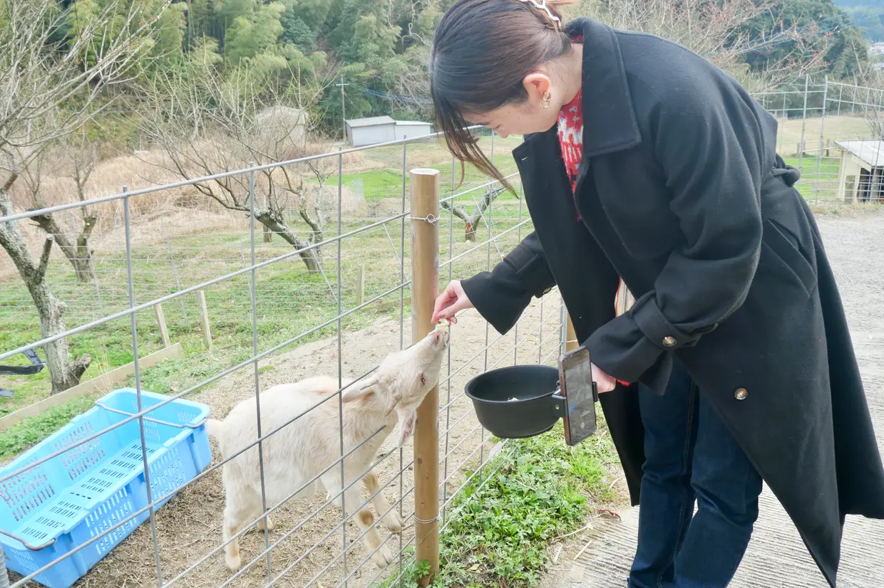 ヤギとなっちゃん