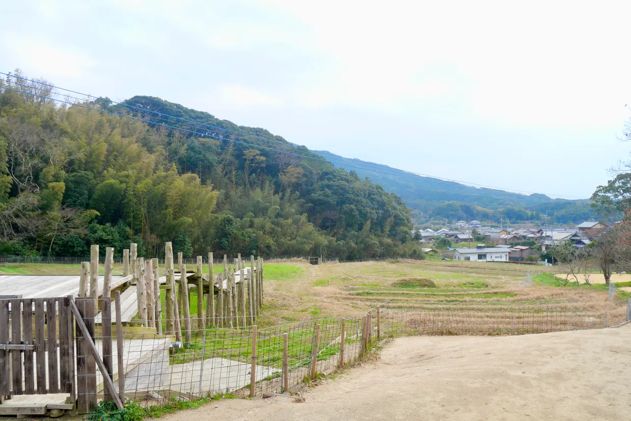  大島農園 糸島やぎ牧場