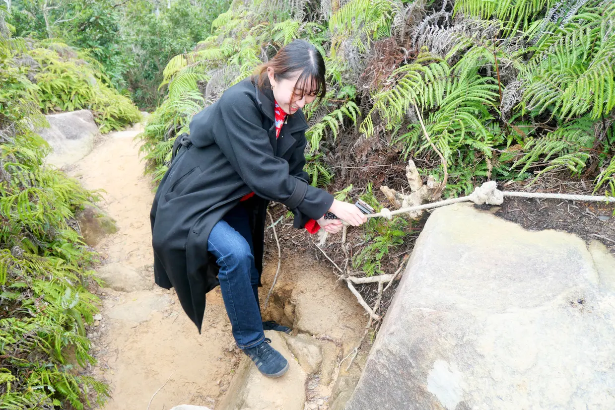登山中の様子