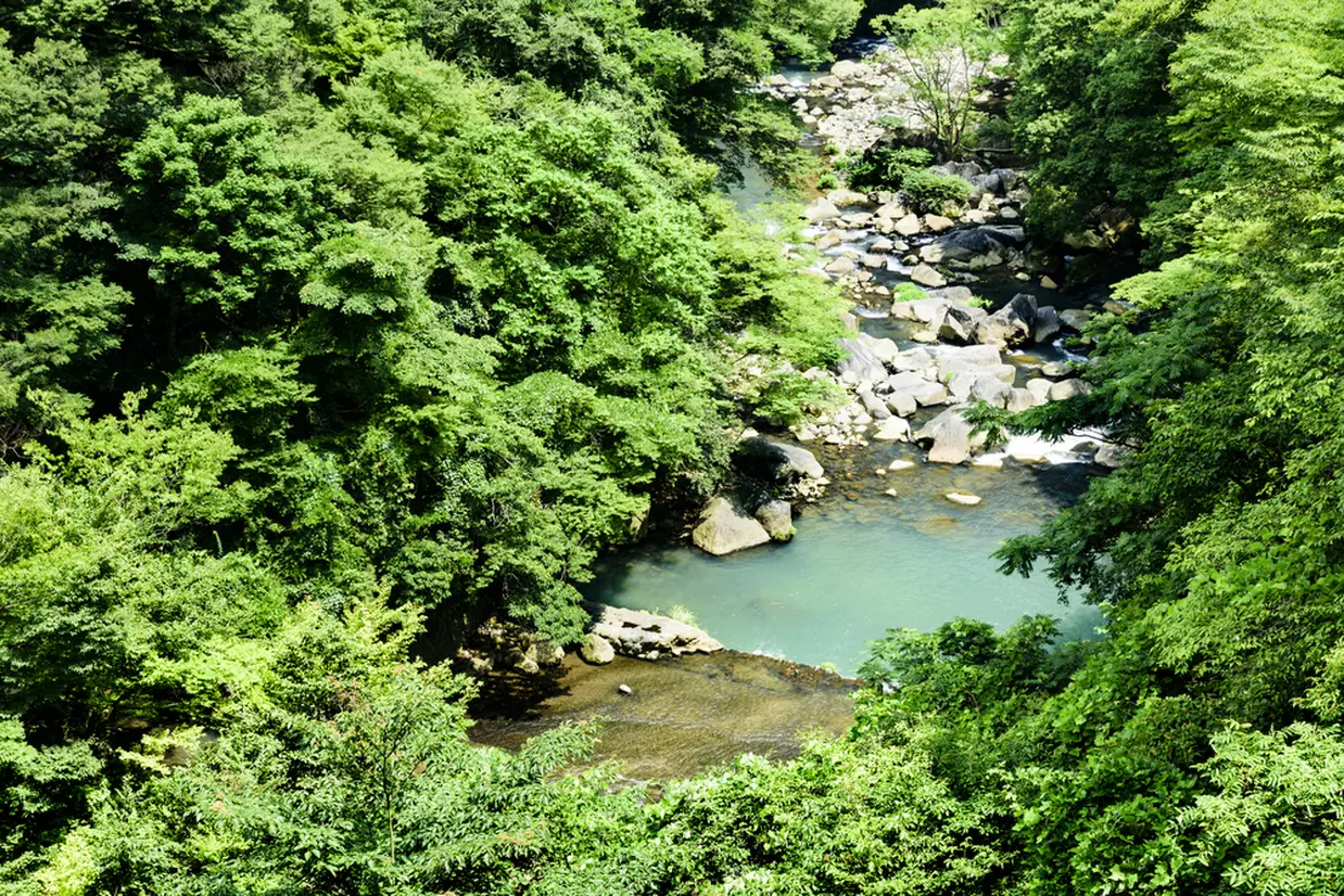蛇骨川上流