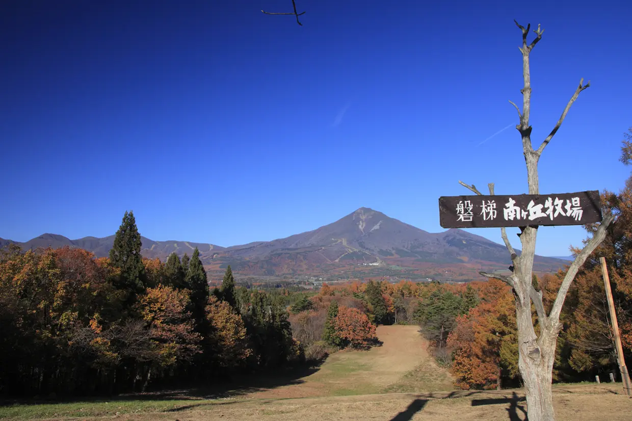 南ヶ丘牧場