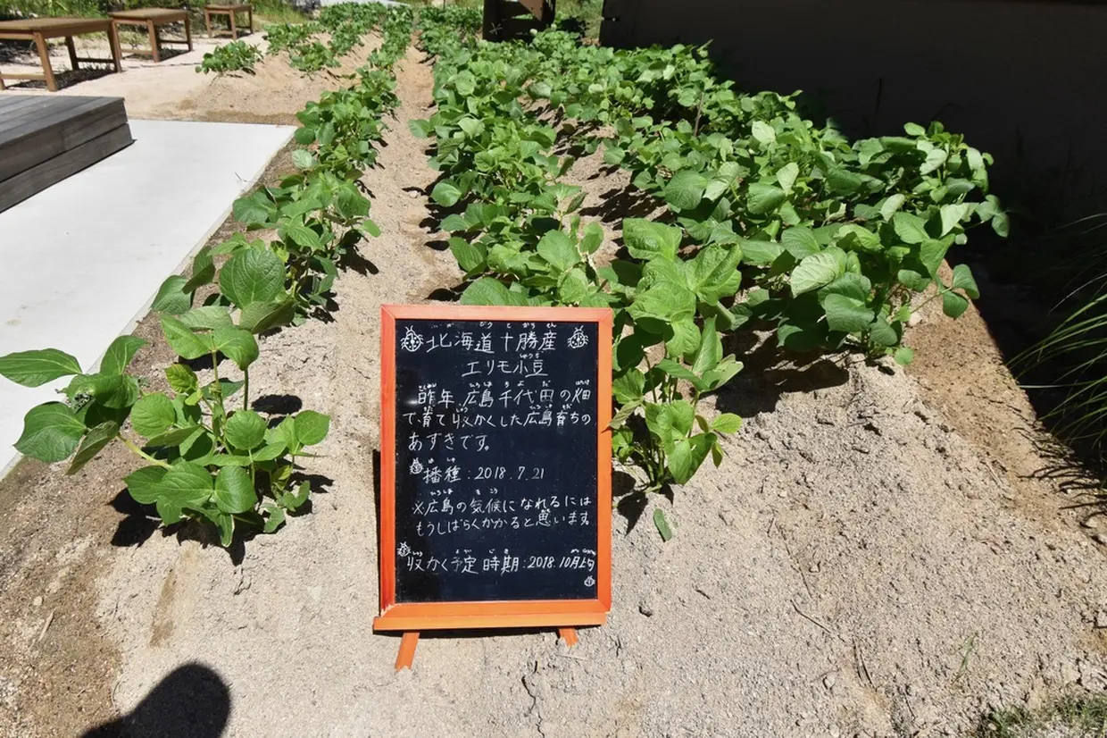 畑LABO（小豆畑）