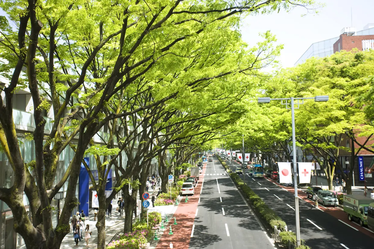 表参道ヒルズ