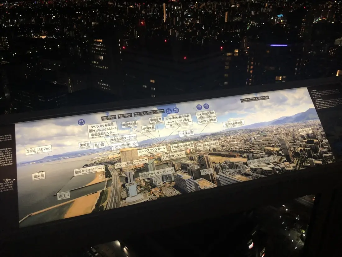 展望台からの眺め