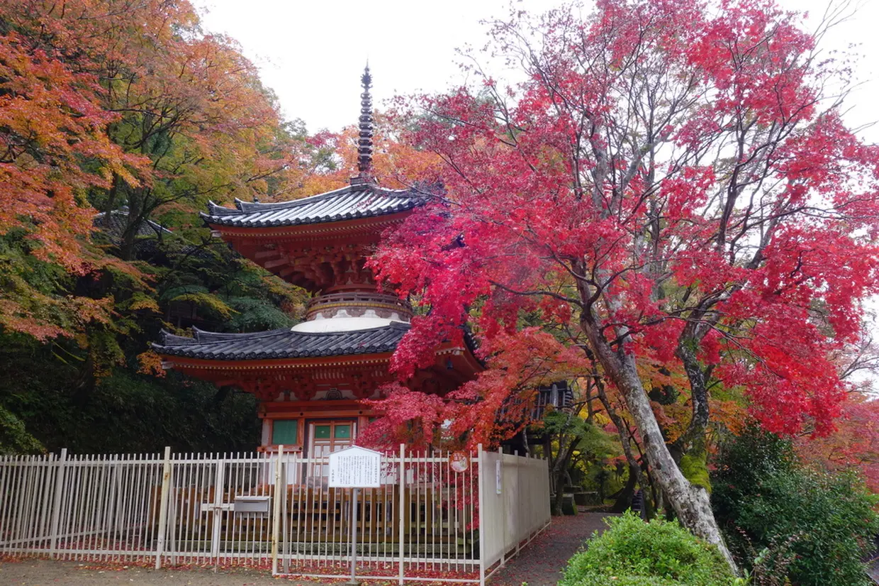 牛滝山