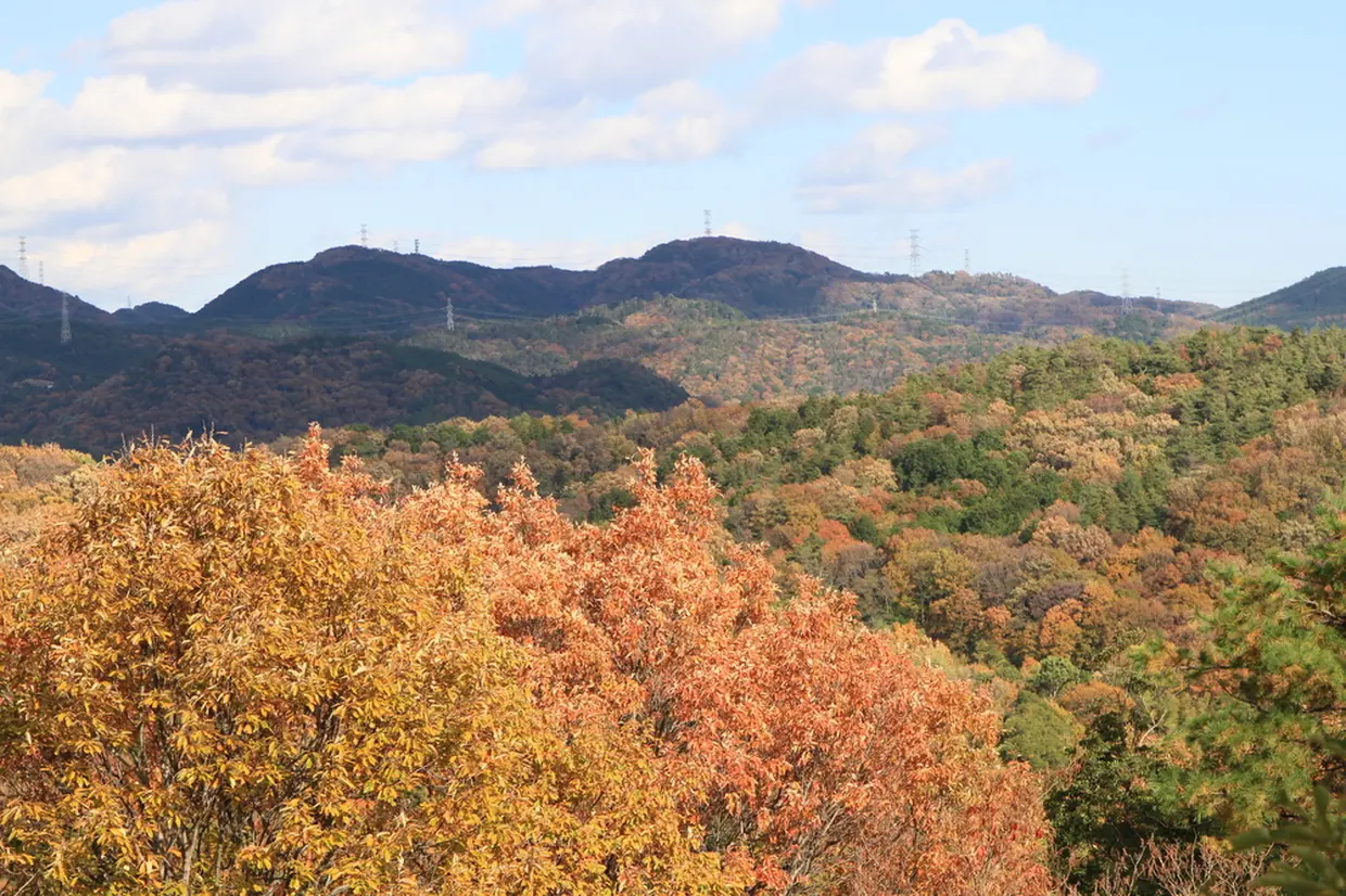 摂津峡公園