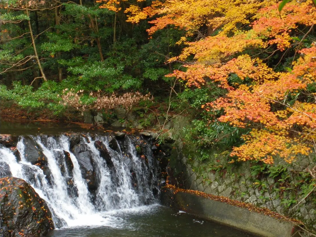 箕面公園