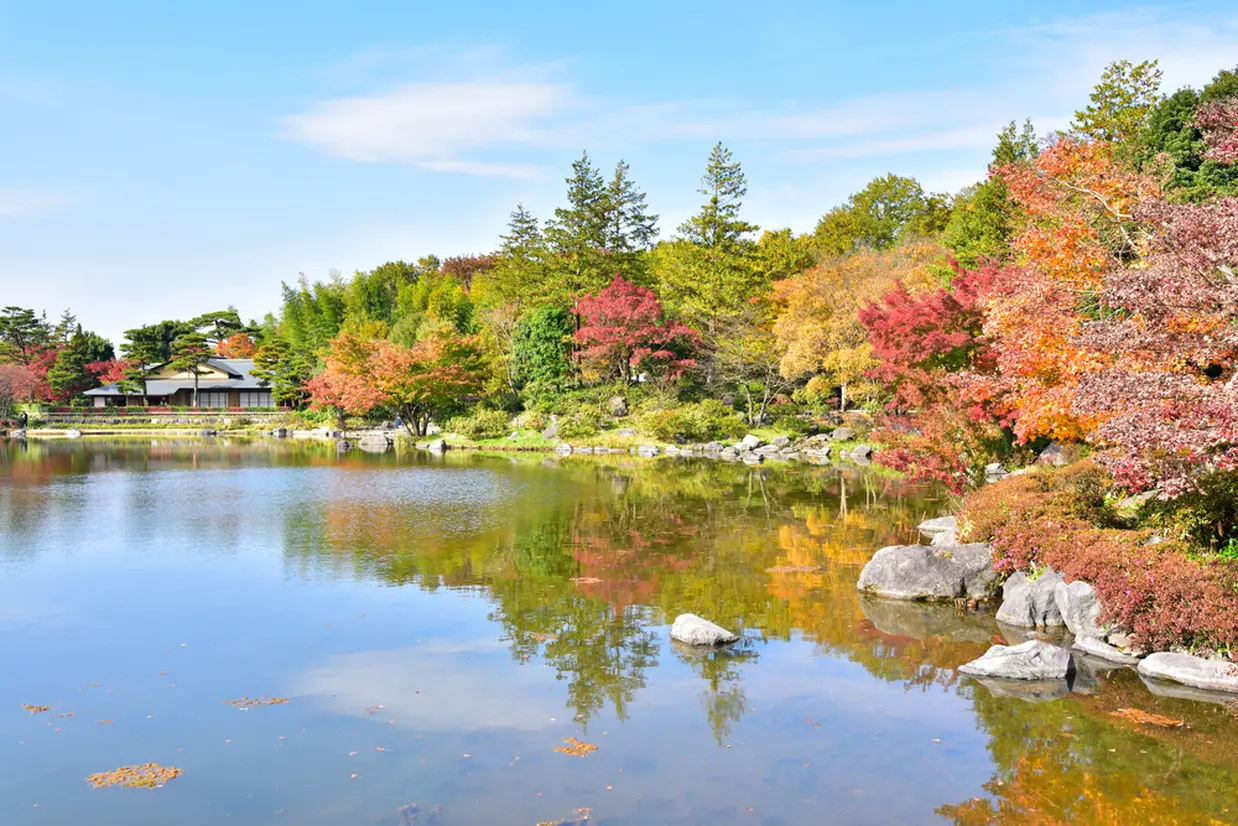 国営昭和記念公園