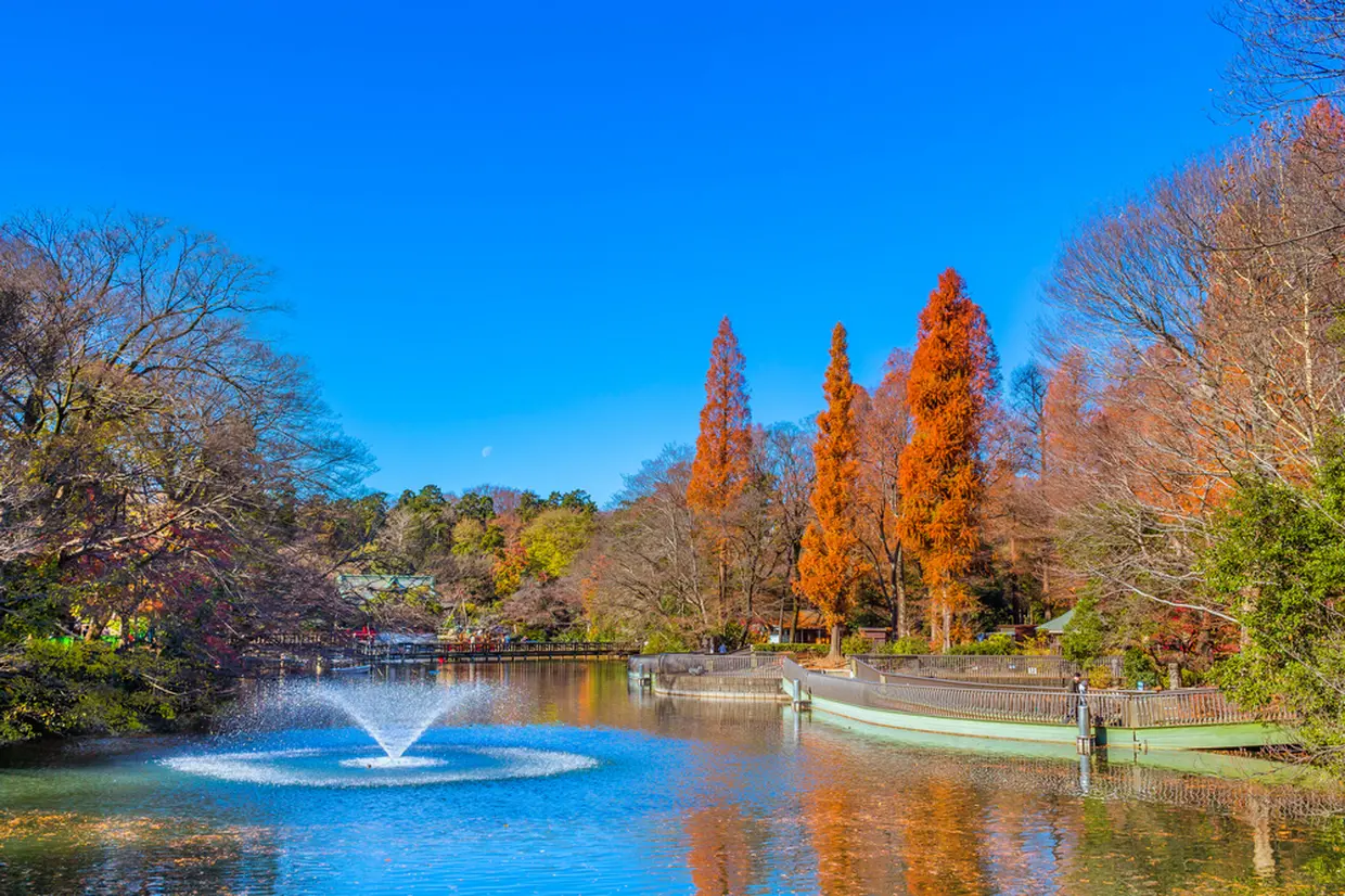 井の頭恩賜公園