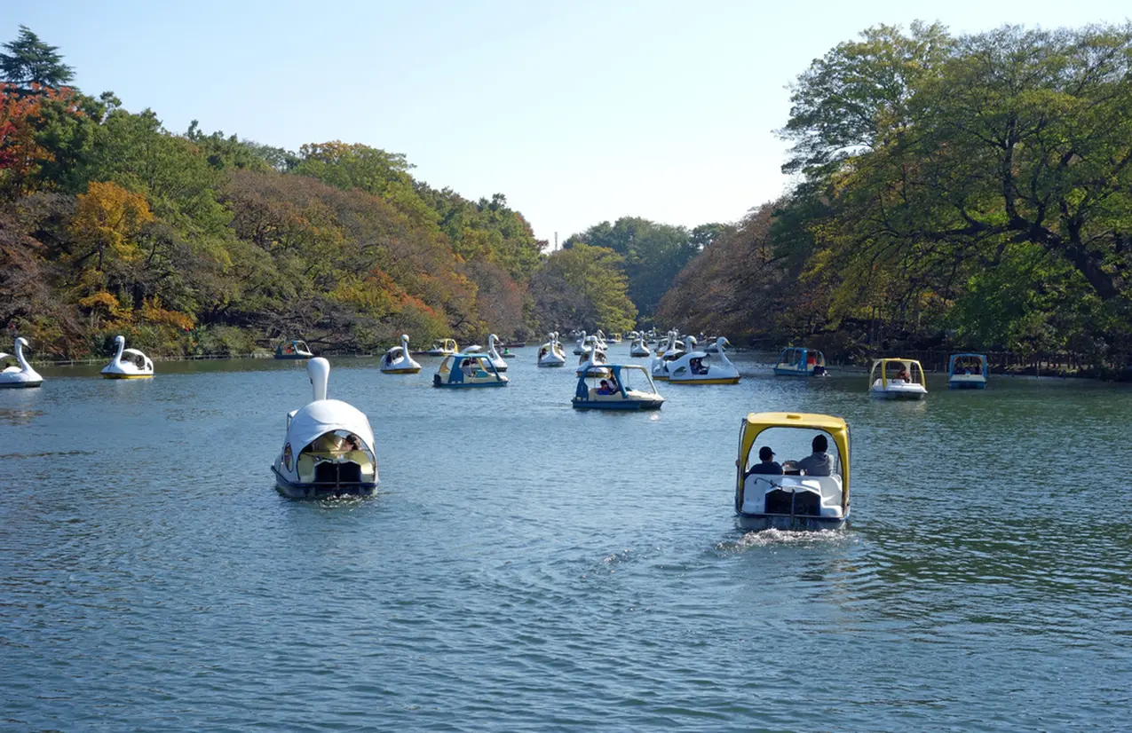 井の頭恩賜公園