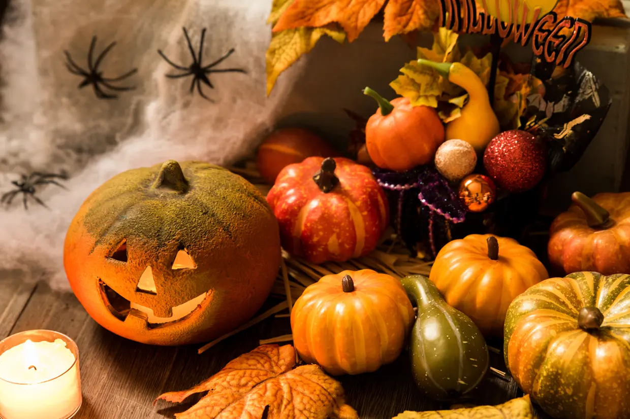 ハロウィン　イメージ