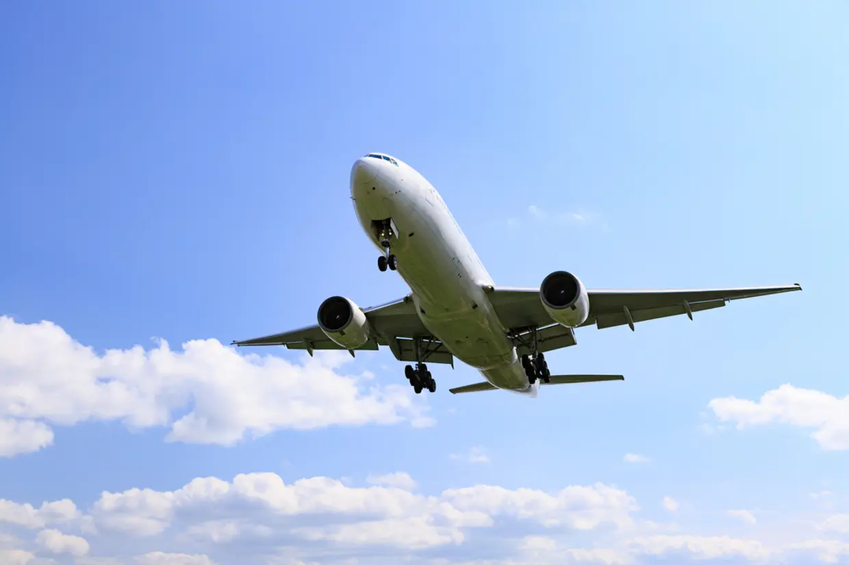 飛行機