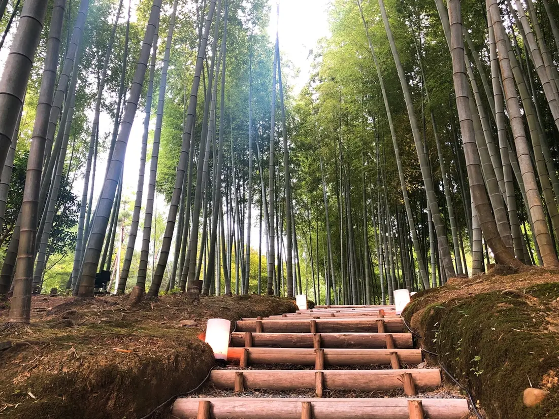 高台寺