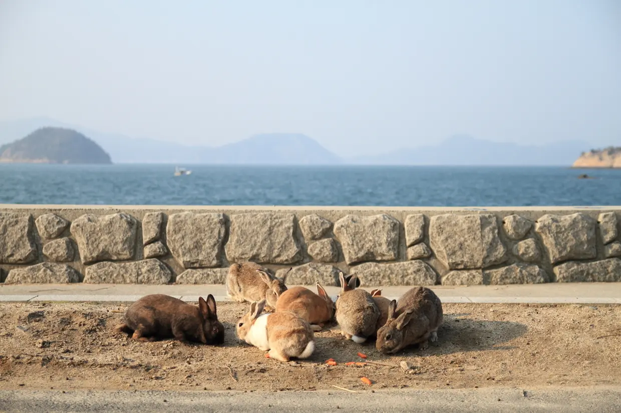 大久野島の風景