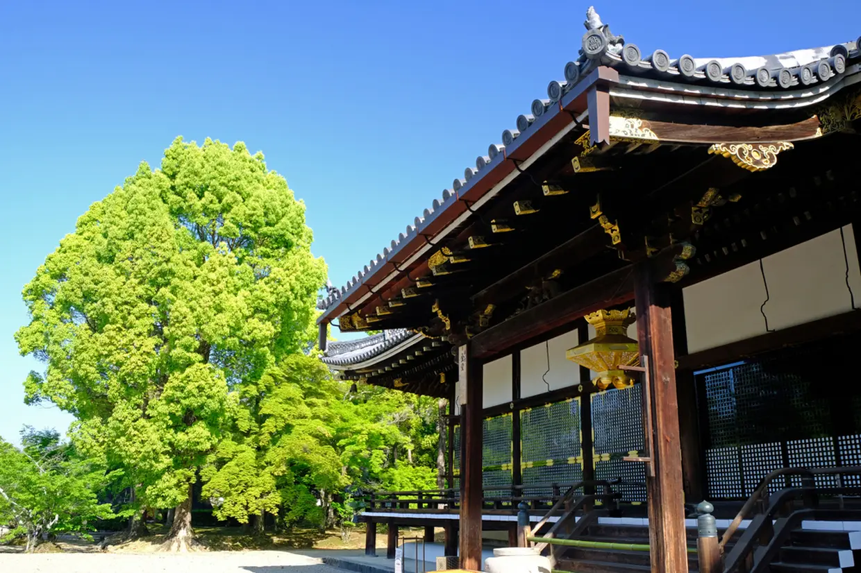 仁和寺