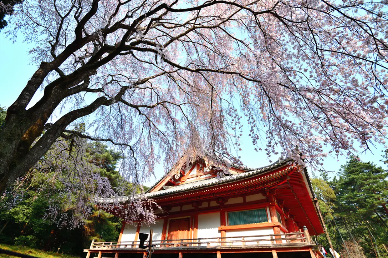 醍醐寺