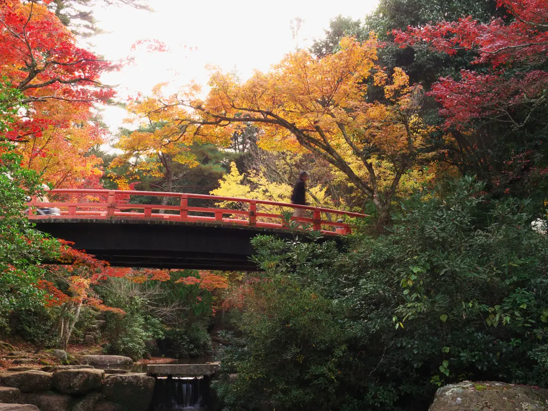 紅葉谷公園