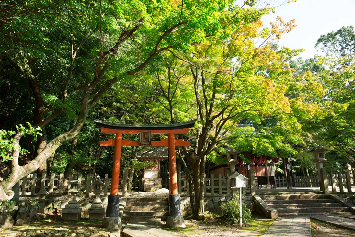 吉田神社