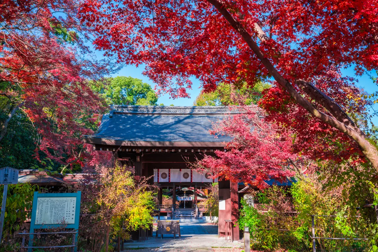 梨木神社