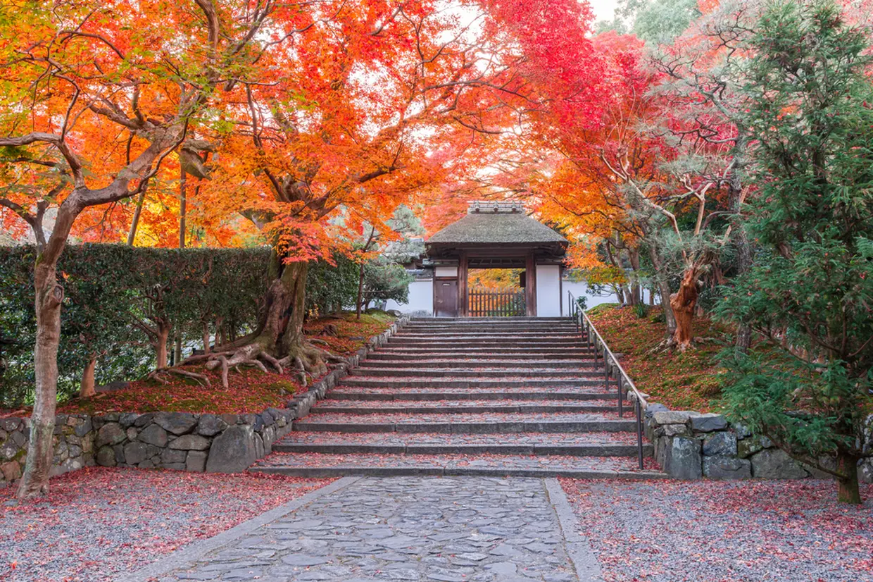 安楽寺